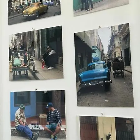 Daire Calefati Gallery Luxury *